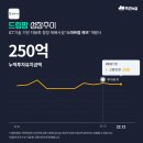 팀트리파트너스