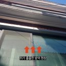 중앙일보부산사업장 | 쥐 퇴치 사체 처리까지 확실한 업체 방역수사대!