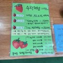 한울타리어린이집 | 울산 아이와 가볼만한 곳 : 나리팜-딸기체험(장,단점 비교)