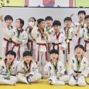 용인대 아름태권도 이미지