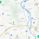 금천리 이팝나무 네이버블로그