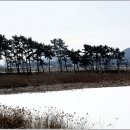 소나무풍경 - 김포시 양곡로373번길 61-26 | 소나무풍경