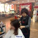 신성순 헤어아트 이미지