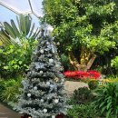 부천호수식물원 수피아 이미지