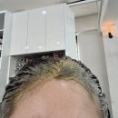 회기역미용실 미가헤어살롱 새치 뿌리염색 솔직후기 가성비 있는 1인샵