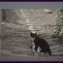 해달별천문대 이미지