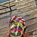 신휴 낚시터 이미지