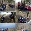 4월 셋째주 마산서울 합동 산행후기(무학산) 이미지