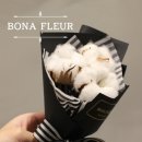 플레르솜 이미지