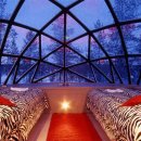 숲속의 이글루 이미지