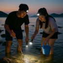 최상기 | 🌊 2025년 8월 남해 해루질: 조황 좋은 포인트 7선과 준비사항·주의사항 총정리