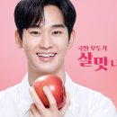 홈플러스엘지화장품
