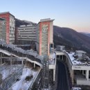 지에스펫 | 하이원리조트 힐콘도 D동 (펫룸) 반려견없이 숙박한 후기