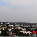 온평리-11 이미지