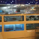 엄청난회집 이미지