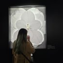 샹스 헤어갤러리 | 샤넬 알쉬믹 향수 여정 성수 팝업스토어 향수 구매 후기 (50만원대 구매 사은품)