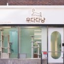 고양이미용 우다다냥 이미지