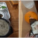 영자네김밥집 이미지