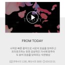 [스튜디오] 허니앤베이비 사진 보정