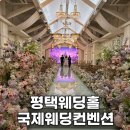 국제웨딩컨벤션 | 평택웨딩홀 추천 국제웨딩컨벤션 주차부터 뷔페 상담 솔직후기