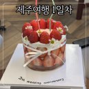 워시랜드 평택점 | 25/12/15 종혁이와 함께하는 4번째 제주도여행 (with 전베리)