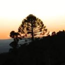 매정농장 | 유인희