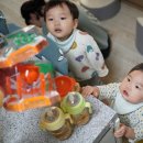 로봇 장난감 헥스버그 너무 좋아서 눈물 흘리는 벌레로봇 후기~