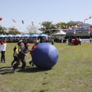 강서구-34 이미지