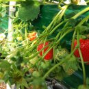 모정농장 이미지