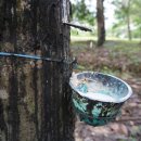 김광석농장 이미지