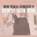 네일라이트 (Light)