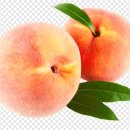 반도식품 이미지