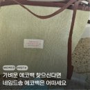 송그린 | 자체제작 에코백 네임드송 내돈내산 후기