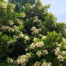 무랑민박 이미지