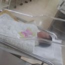 라이라이반점 이미지