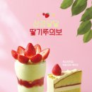 할리스 이미지