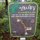 성남시청 산성누리 | 성남누비길 2구간 검단산길 남한산성 남문 ~ 검단산 ~ 이배재고개 ~갈마치고개