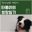 (주)스타몽 이미지