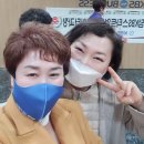 인셀덤을 만나다