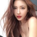 다디자인 이미지