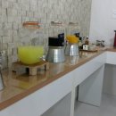 퍼피아일랜드 이미지