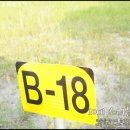 청양동강리오토캠핑장 이미지