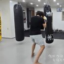 동양킥복싱MMA 이미지