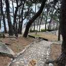 93 | 송정해수욕장 앞 죽도공원 부산 애견동반 여행 가볼만한곳 추천