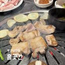 홍야장