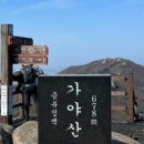 한일지물포 - 관악구 중앙길 12 | 한일지물포