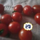 마음 맞는 블로그 있으면 당연히 봐야겠지