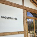 누가한의원 | 경주 대추밭백한의원 예약 성공 방법과 한약 복용 후기