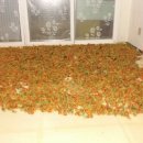 갈뫼농장 이미지