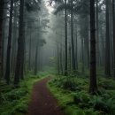 도래재자연휴양림(밀양) 이미지